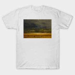 The Wheat Field by George Inness T-Shirt